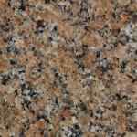 Giallo Latino Granit Renk Giallo Latino Granite Color